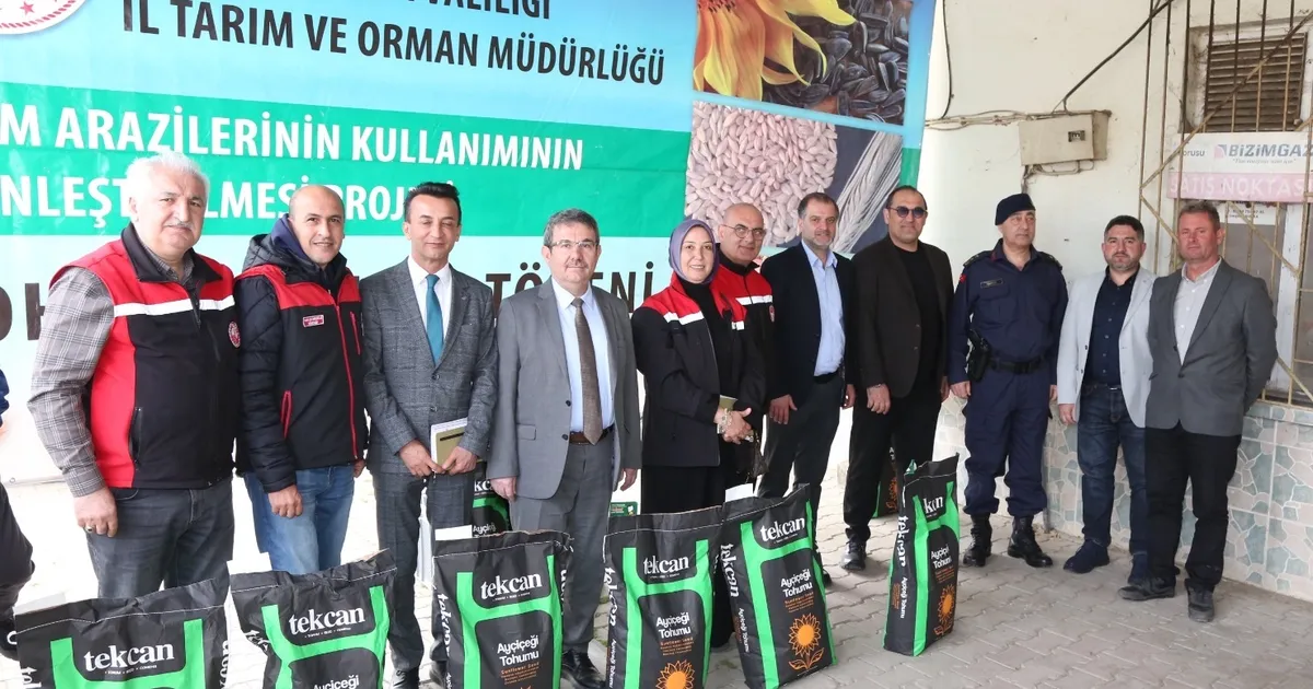 Bursa’nın üç ilçesinde ayçiçeği üretimine güçlü destek