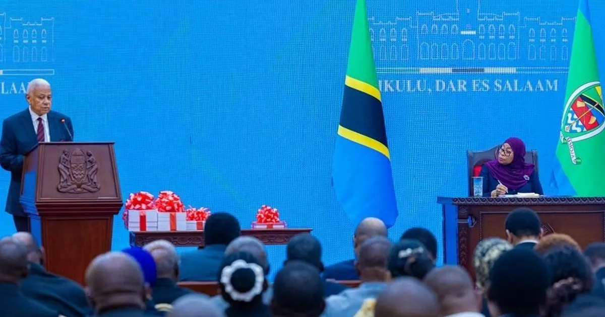 Cumhurbaşkanı Samia, Soruşturma Komisyonu Raporunu aldı… Ulusal uyum, hesap verebilirlik ve reformlar için çağrıda bulundu