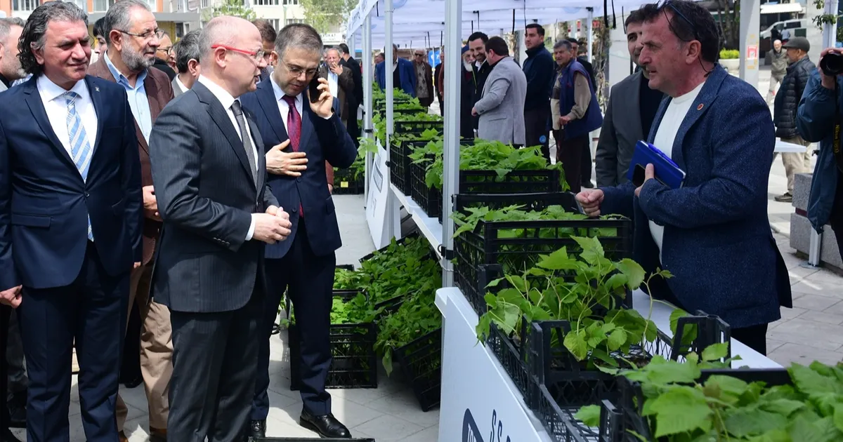 Kestel’de çiftçiye Ahududu desteği