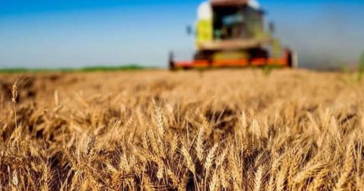 Kırsal kalkınmaya büyük destek… Tarım ve Orman’dan 30 milyon TL’ye kadar hibe!