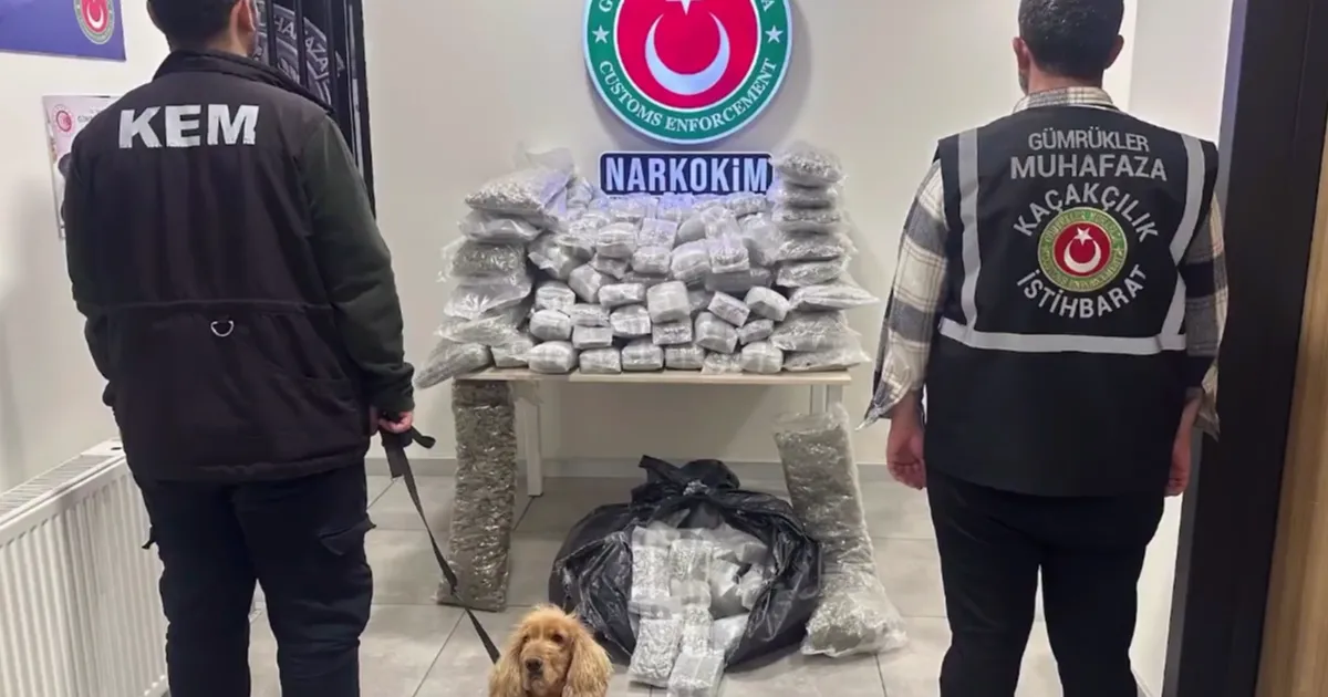 Zehir tacirlerine darbe! 659 kilo uyuşturucu ele geçirildi