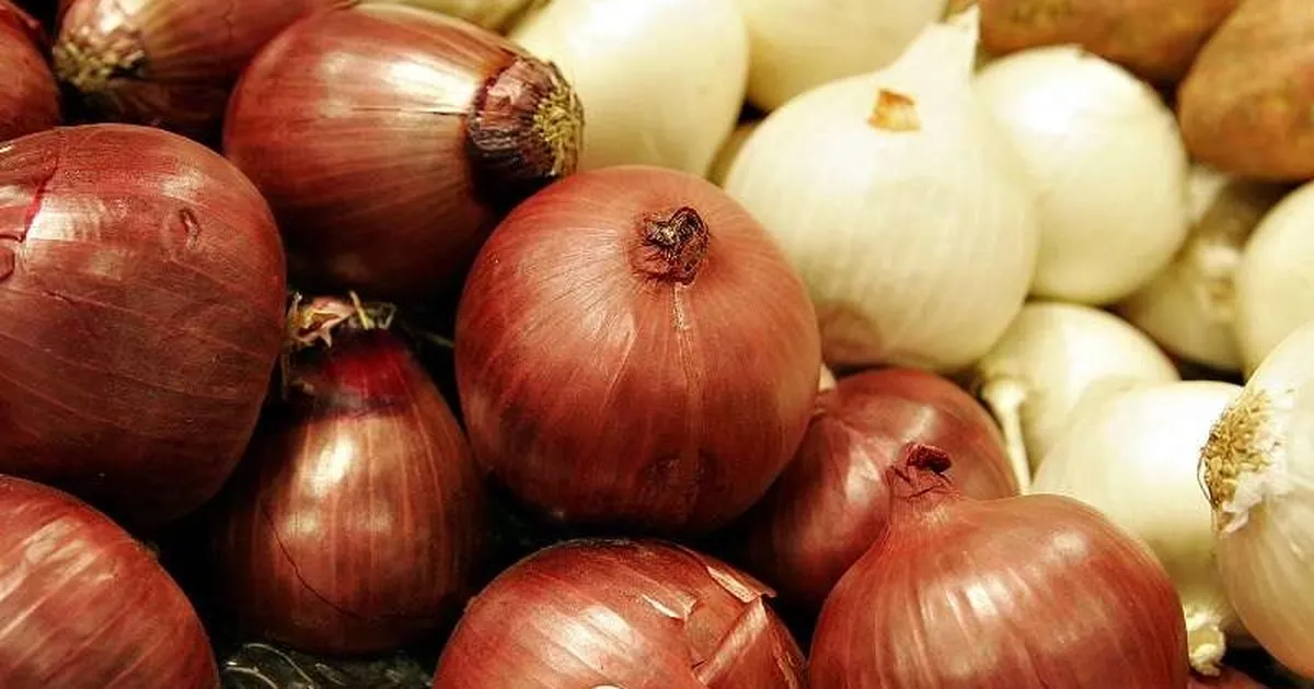 Kuru soğanda gümrük geçici yüzde 5’e indirildi