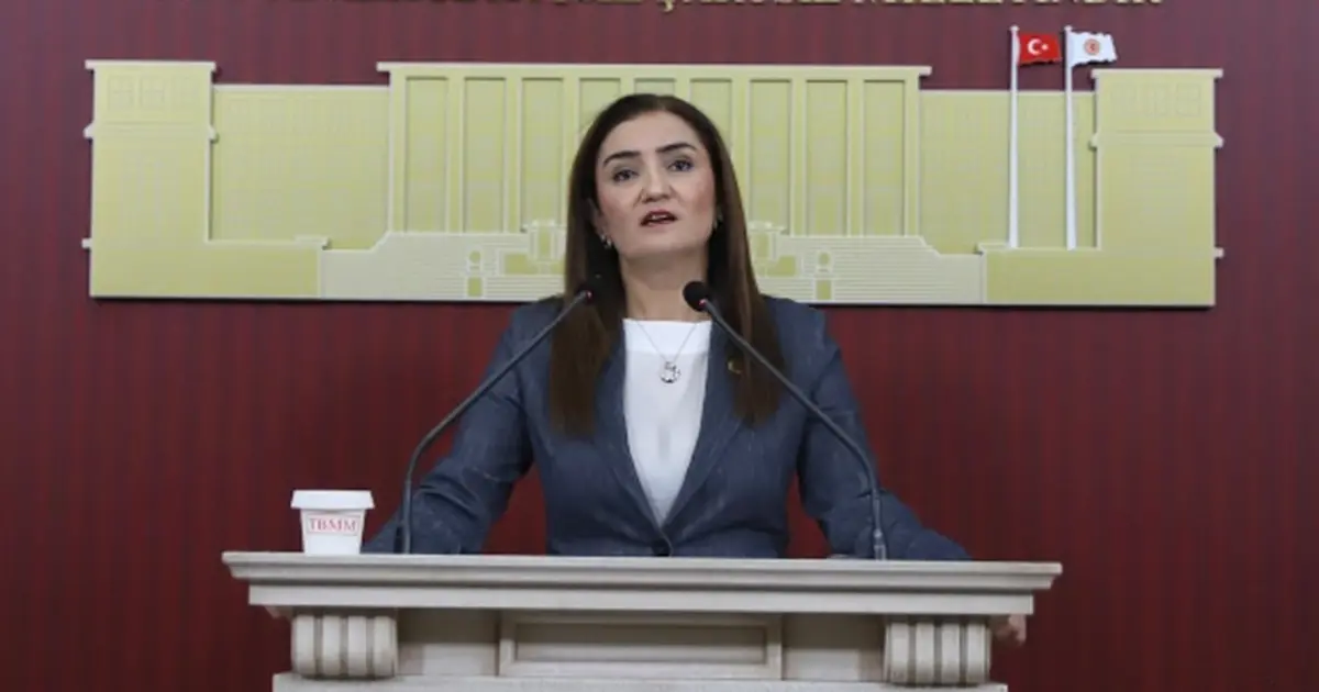 CHP Grup Başkanvekili Kılıç’tan ‘silahsızlanma’ vurgusu