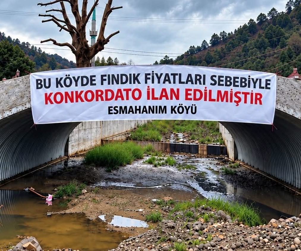 Düzce Akçakoca’da üreticinin fındık fiyatı tepkisi