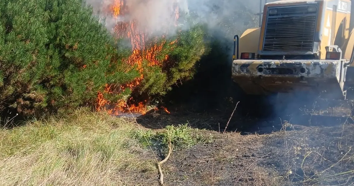 Düzce’de fındık bahçesinde yangın!