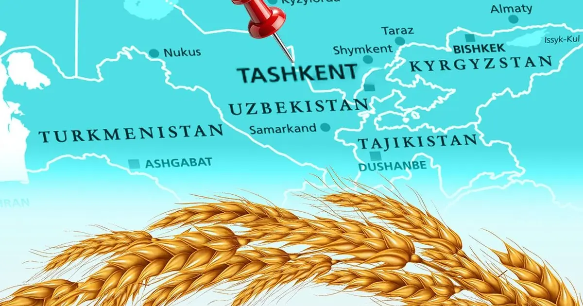 Türkiye un ihracatında 12. şampiyonluk hedefini koydu… Tahıl sektörü Taşkent’te buluşuyor