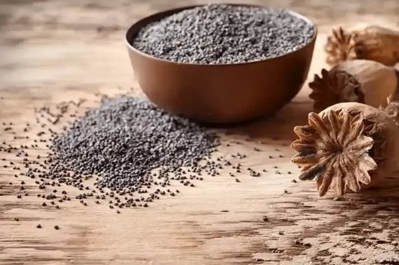 Haşhaş alım fiyatları belli oldu… Başvurular 30 Ekim’de sona erecek